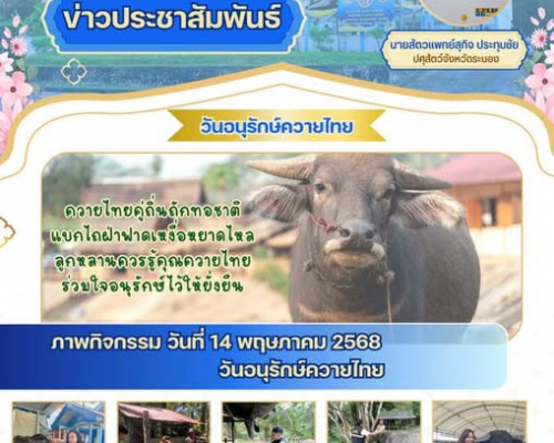วันอนุรักษ์ควายไทย