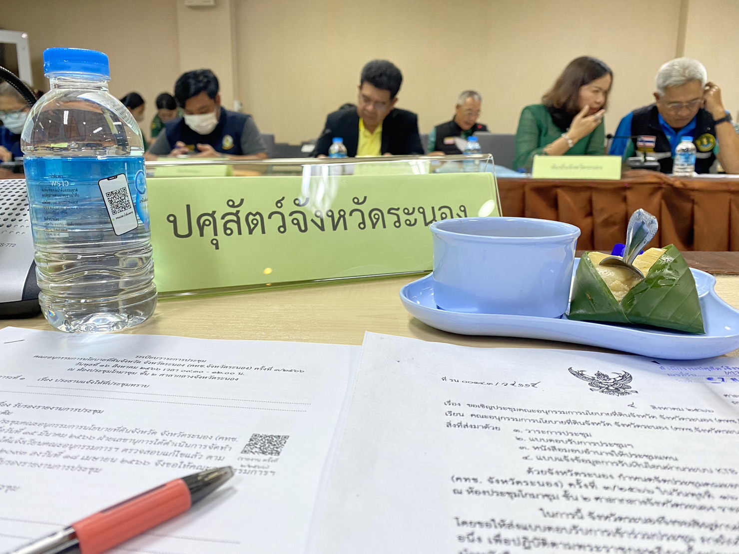 S__88260710_0.jpg